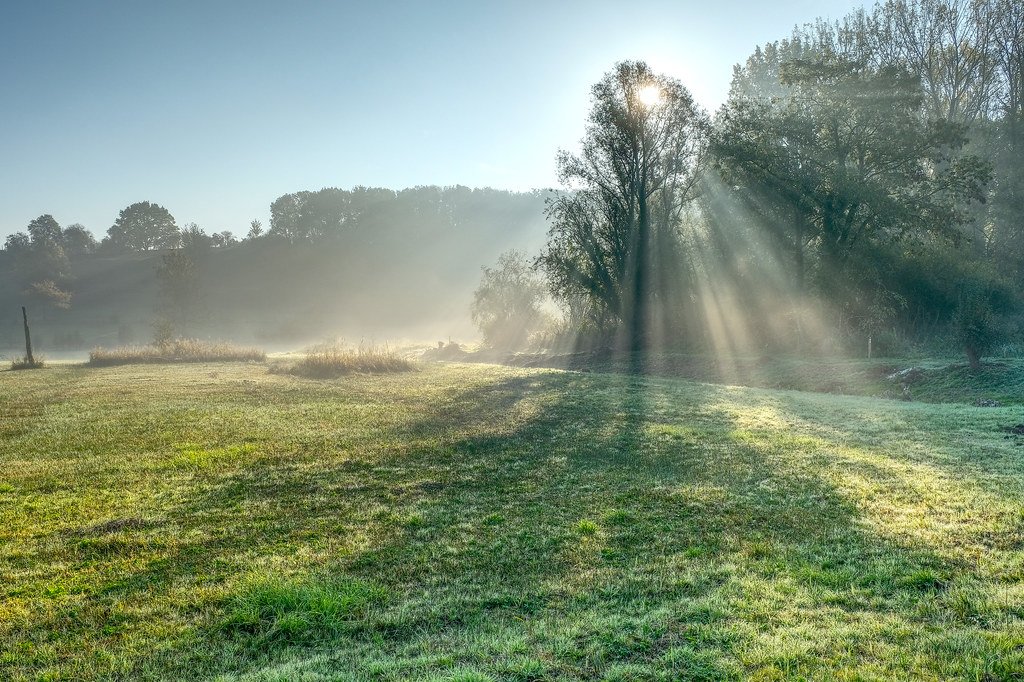 stepping out in the sunlight  boost your immunity