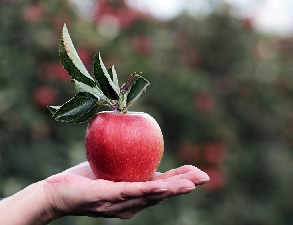 Apple has high antioxidant content helps makes it among the best carbs food for energy.