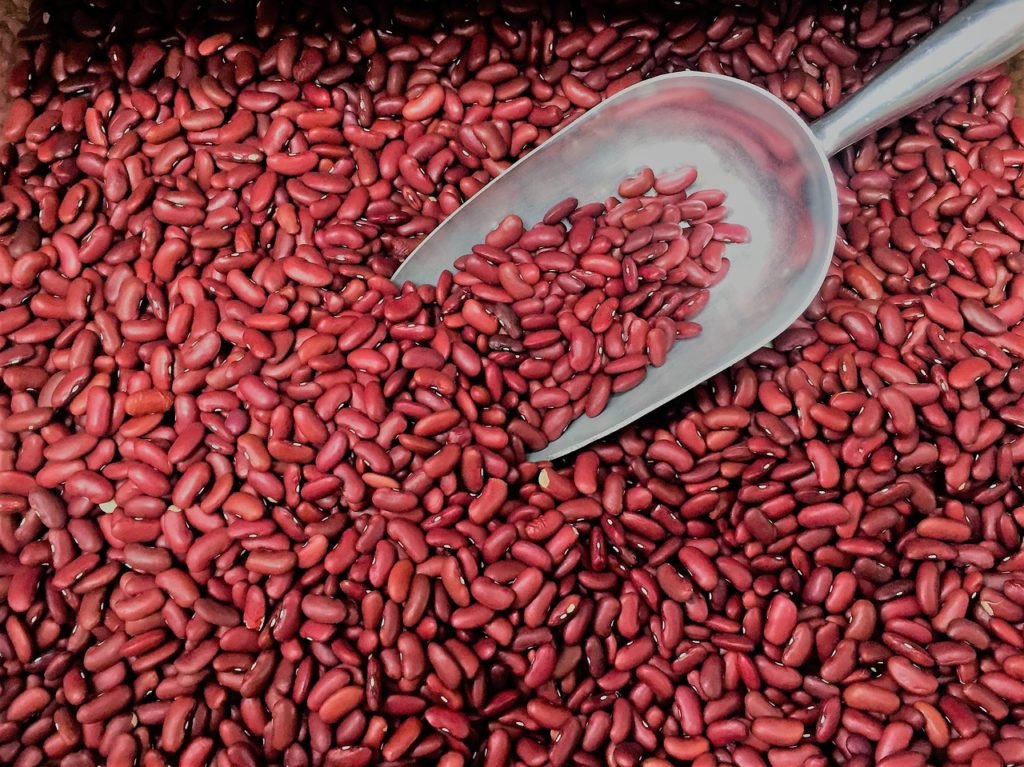 Kidney Beans are the best source of high carb diet