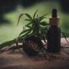 CBD oil benefits and side effects