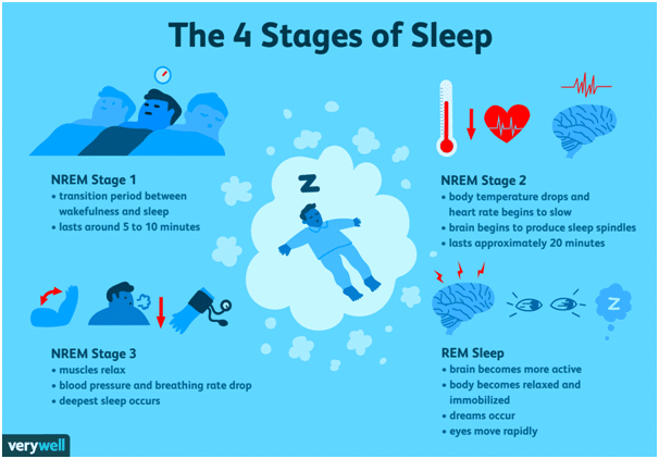 Stages of sleep. It is a science based study. Picture by verywell.