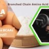 Should I take BCAAs post workout?