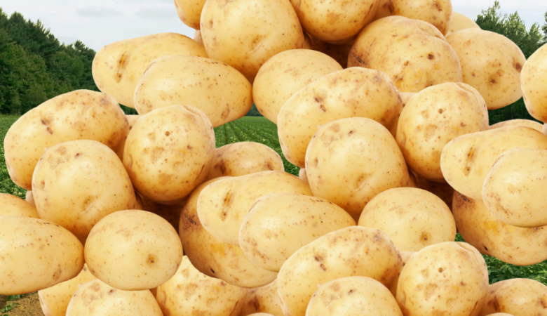 Potatoes are no danger for weightloss